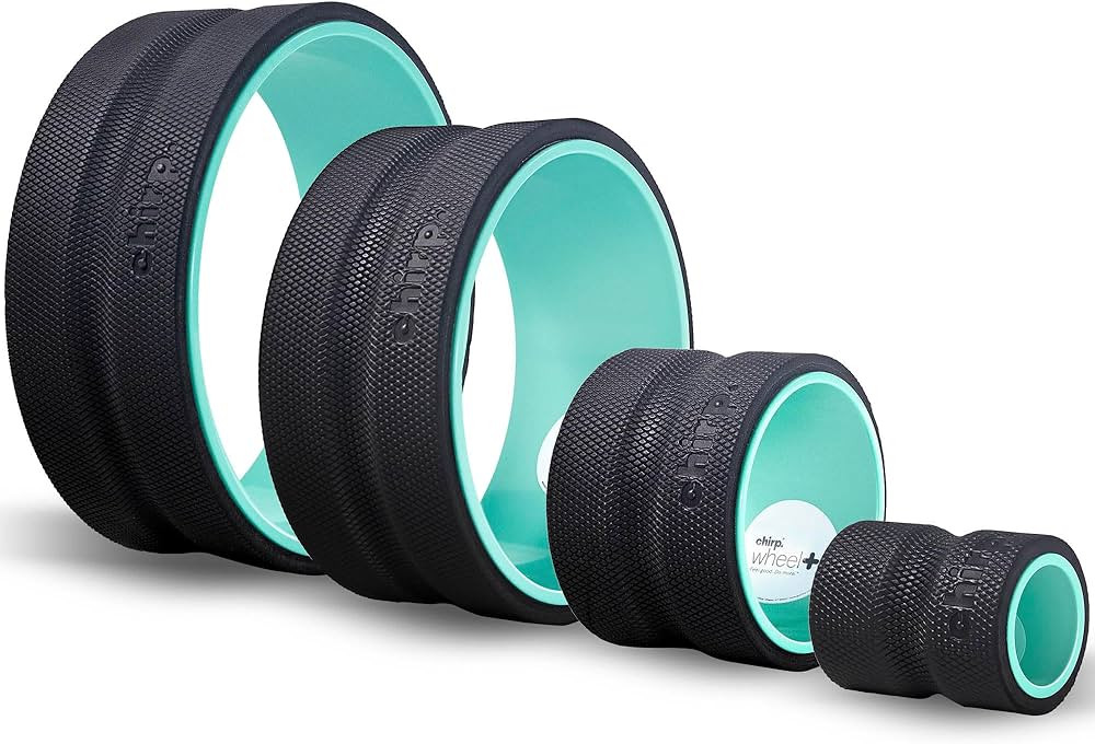 Chirp Wheel Foam Roller – Targeted Back & Neck Relief, Lumbar Spine Stretcher, Spinal Decompres... | Amazon (US)