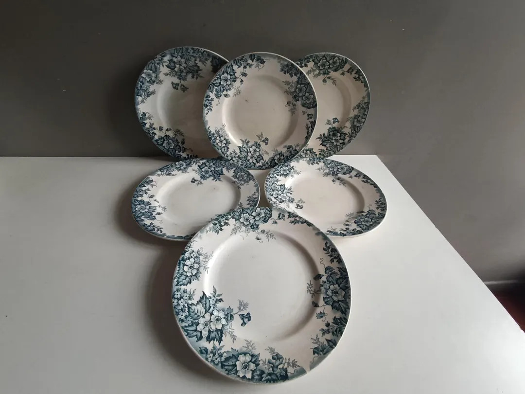 Lot de 6 anciennes assiettes plates en céramique faïence de Saint Amand & Hamage modèle Marie ... | Etsy (US)