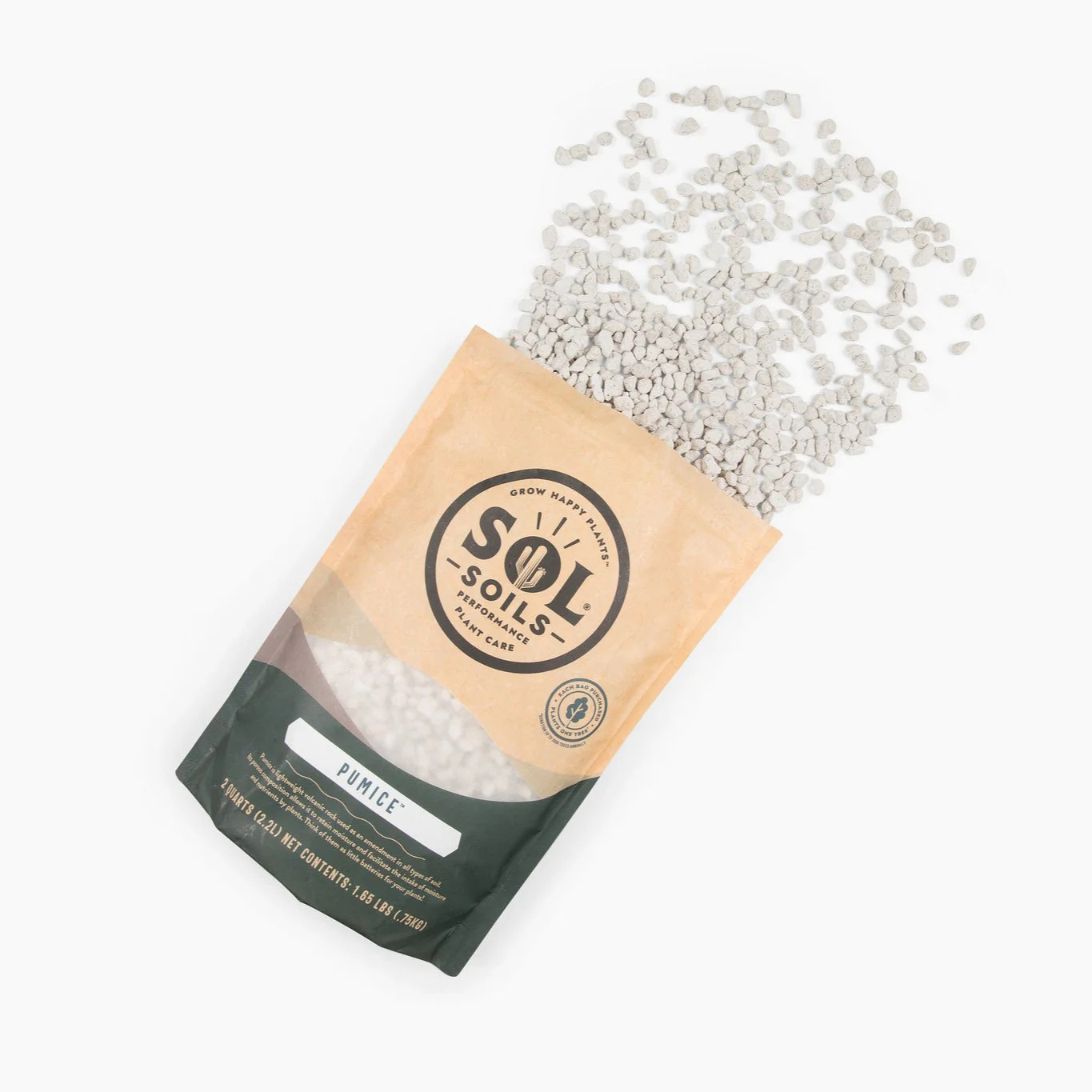 Pumice | Sol Soils