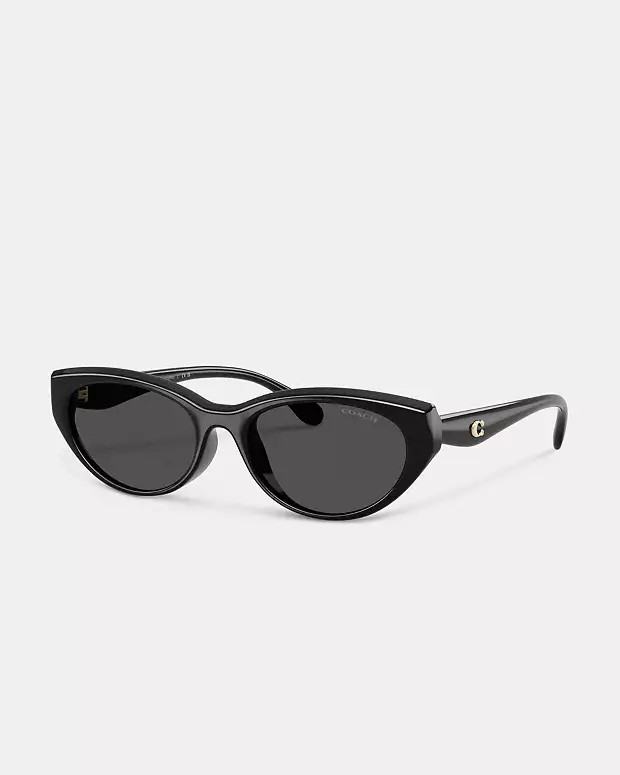 C Hardware Oval Cat Eye Sunglasses | Coach (US)