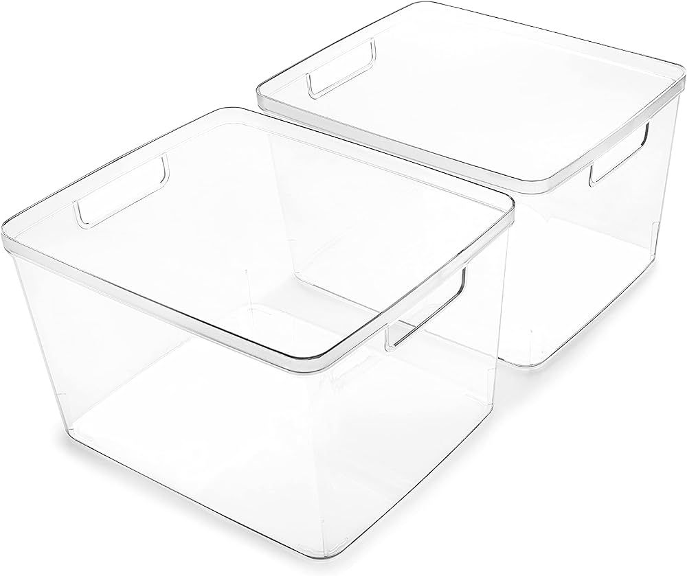 BINO | Plastic Storage Bins, Large - 2 Pack | THE LUCID COLLECTION | Multi-Use Organizer Bins | B... | Amazon (US)