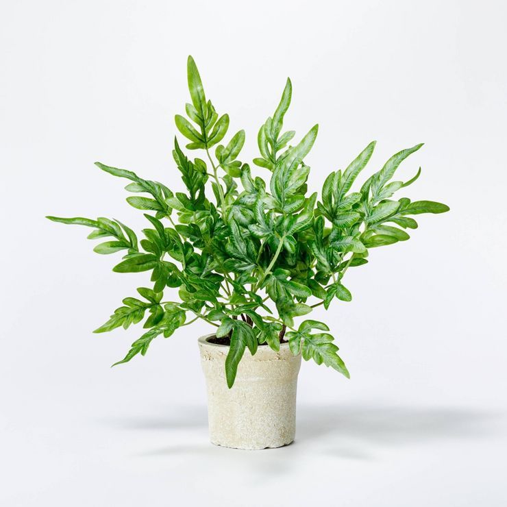 Small Artificial Ribbon Fern Leaf in Pot - Threshold&#8482; designed with Studio McGee | Target