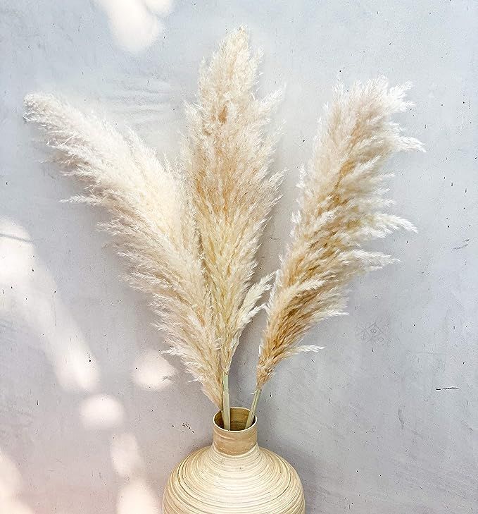 Creative Mumblr Pampas Grass - Tall Big 4 Stems 48" (4ft) Length Natural Dried Plants Faux Pampas... | Amazon (US)