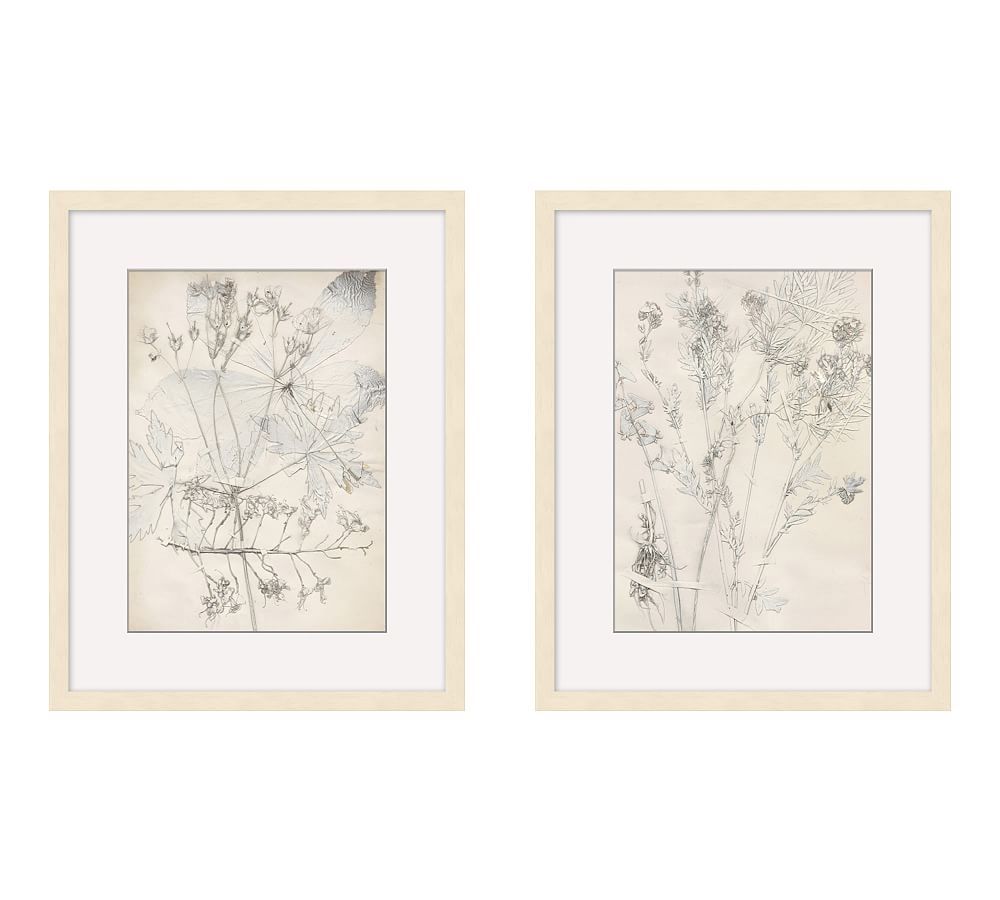 Ivory Foliage Prints | Pottery Barn (US)