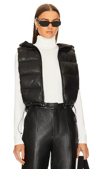 Delma Puffer Vest in Black | Revolve Clothing (Global)