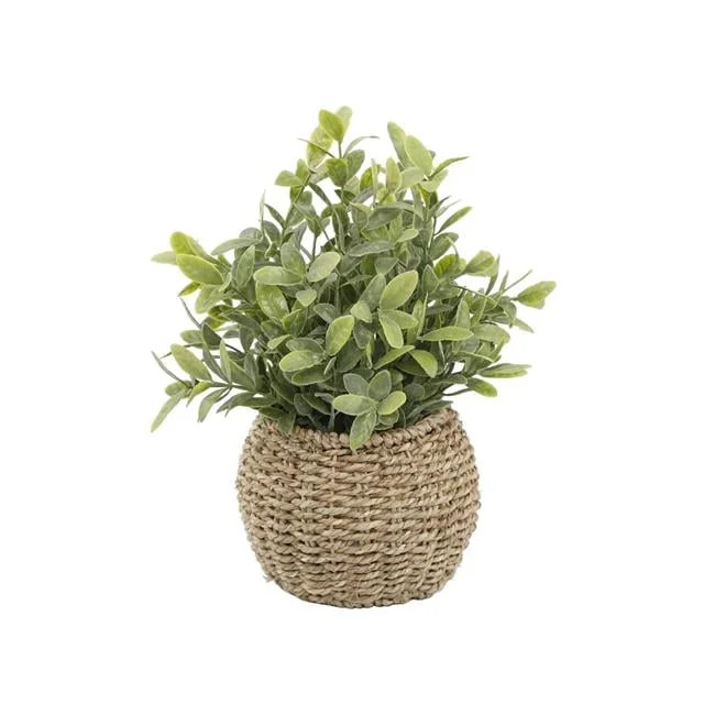 Flora Bunda CS5102E-BRN Tealeaf in 6' Basket | Walmart (US)