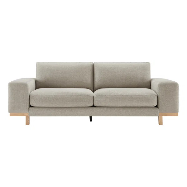 Arnette 97'' Velvet Sofa | Wayfair North America