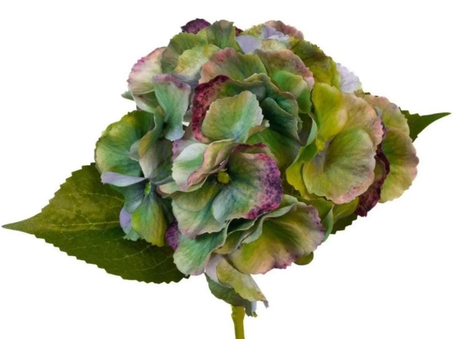 Real Touch Hydrangea - Antique Green - 14" | Etsy (Global)
