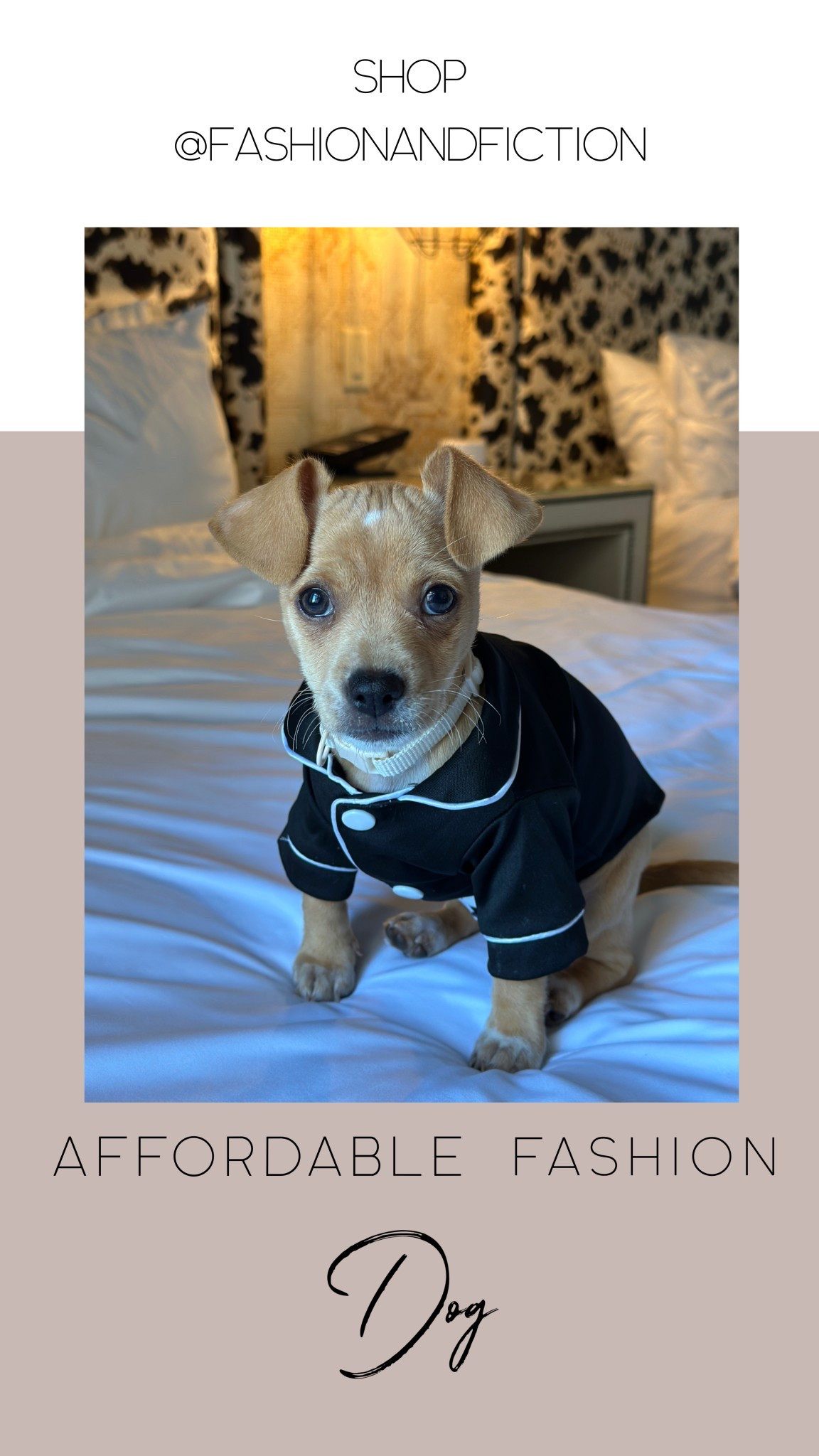 PJ shirt for dogs. Daisy loves this top so much. It comes in a pack of 3 (black, blue, pink) Lots of sizes available. She’s wearing XXS. Weight 4lbs  