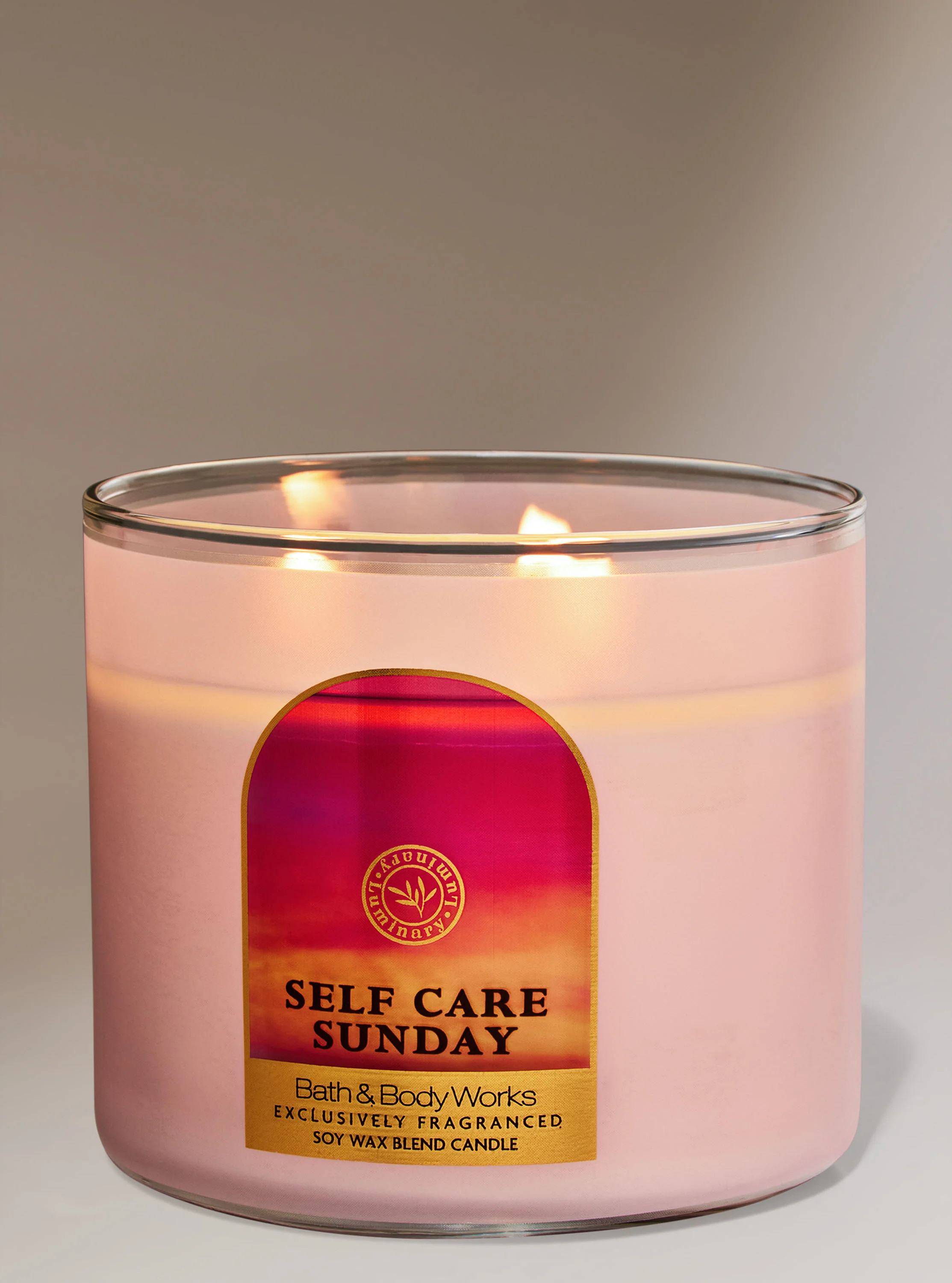 Self Care Sunday


3-Wick Candle | Bath & Body Works