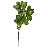 Amazon.com: Nearly Natural 35” Magnolia Leaf Artificial Spray (Set of 3) Silk Plants, Green : H... | Amazon (US)