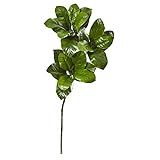 Amazon.com: Nearly Natural 35” Magnolia Leaf Artificial Spray (Set of 3) Silk Plants, Green : H... | Amazon (US)