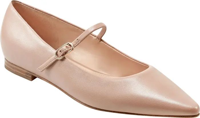 Daner Pointed Toe Flat (Women) | Nordstrom