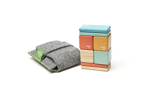 8 Piece Tegu Pocket Pouch Magnetic Wooden Block Set, Sunset | Amazon (US)