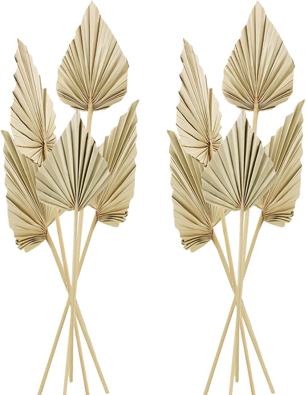 10 Pcs Boho Dried Palm Spears Leaves Bulk, Small Natural Dried Real Palm Fans,Dried Palm Leaves w... | Amazon (US)