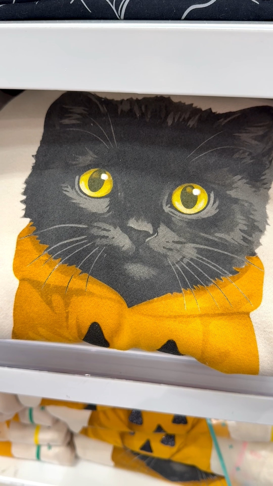 What a sweet black cat in her pumpkin hoodie! 🐈‍⬛🎃 This sweatshirt is absolutely precious. Beautiful cream color with fleece on the inside. Super soft, and I love the sparkly face on the jack o lantern.

#halloweensweatshirt #fallsweatshirt #falloutfitinspo #target #falloutfitforwomenover40 #blackcatsweatshirt #cutehalloweensweatshirt #fleecefallsweatshirt

#LTKMidsize #LTKOver40 #LTKSeasonal