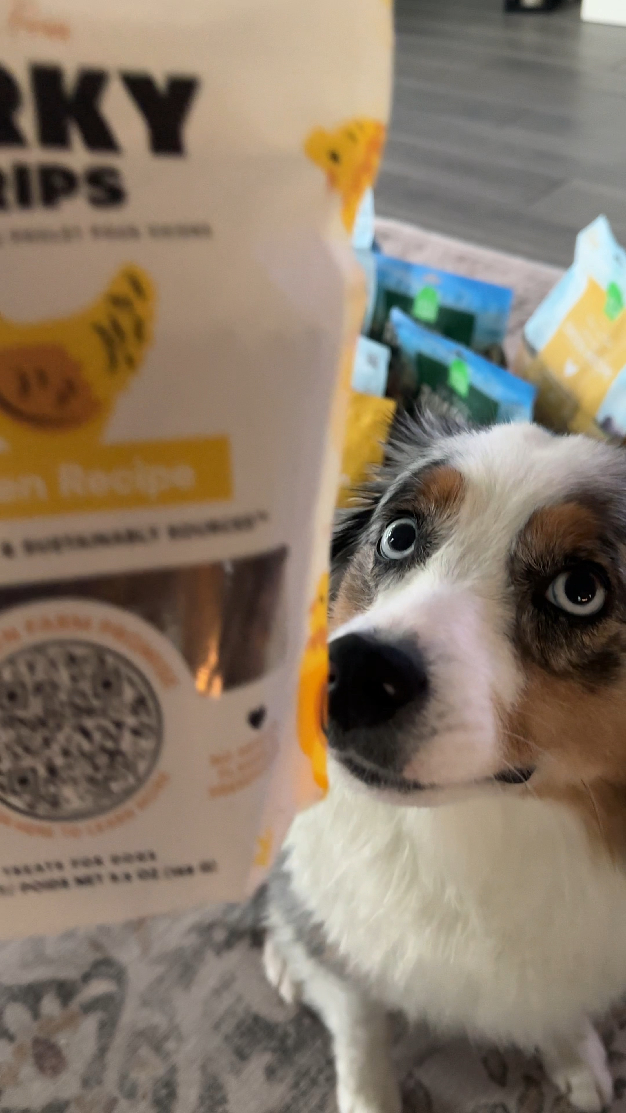 Dog treats and food from OPEN FARM 
DISCOUNT CODE LEU15
Click below 
https://get.aspr.app/SHjEk

#LTKTravel #LTKSeasonal #LTKSaleAlert