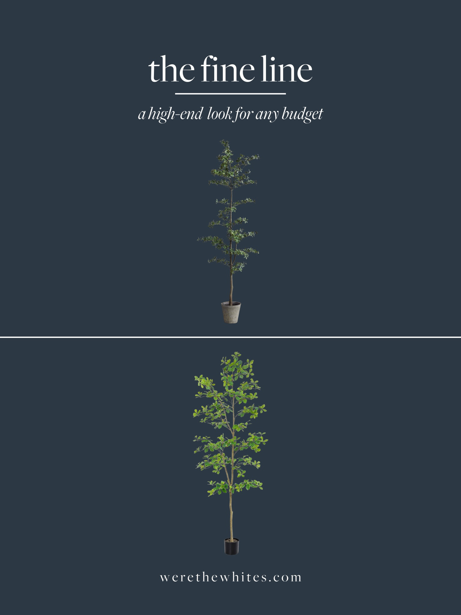 This beautiful 7ft Faux black olive tree from Amazon is stunning! A few weeks back I saw it was trending and had to see for myself. It’s very similar to this faux black olive tree from Pottery Barn, but for less than 1/4 of the price!! Visit my stories today for my thoughts on it! 

#LTKsalealert #LTKhome #LTKstyletip