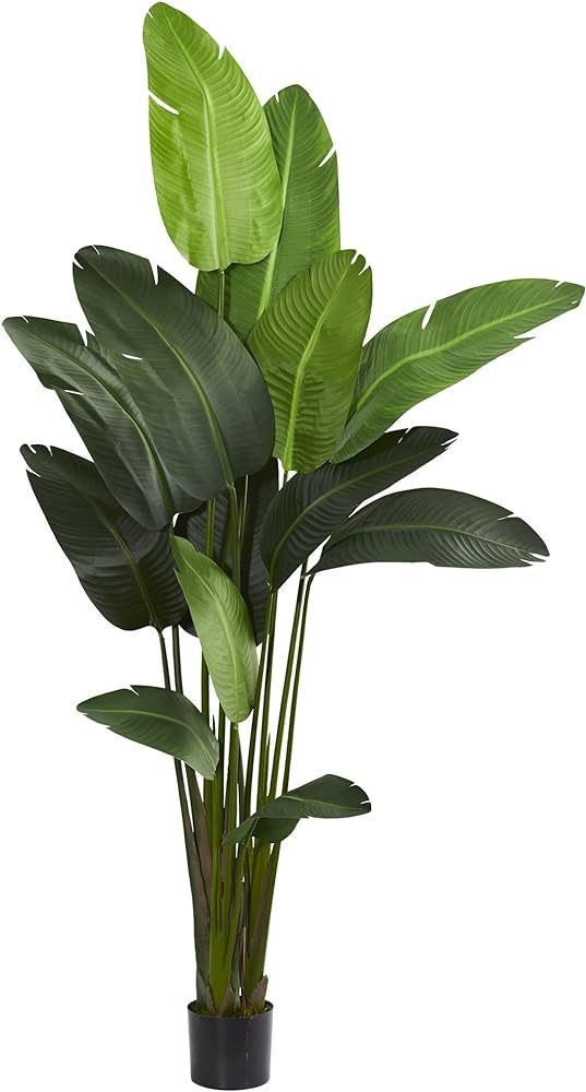 Nearly Natural Travelers Palm Artificial Silk Trees Green 14"D x14"W x7 Ft | Amazon (US)
