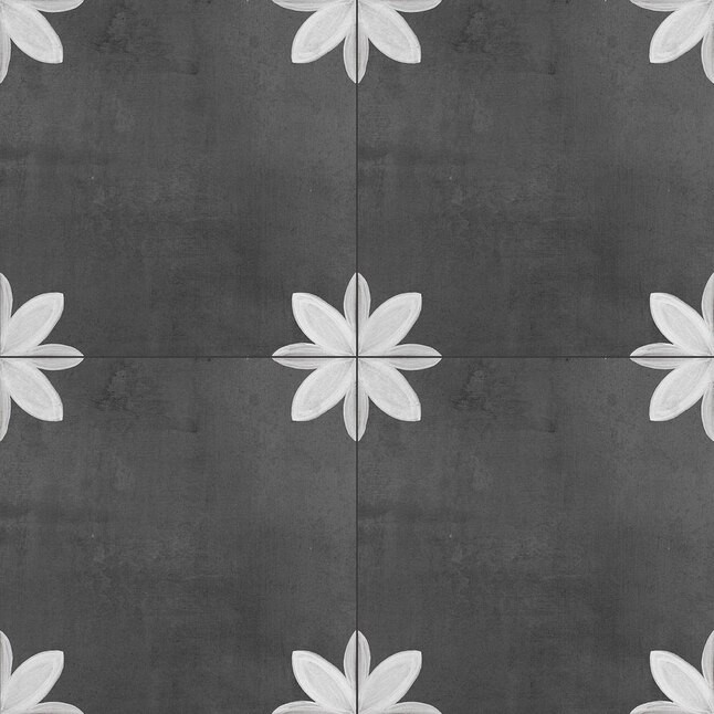 DELLA TORRE  Fiona 29-Pack Black and White 8-in x 8-in Glazed Porcelain Encaustic Floor and Wall... | Lowe's