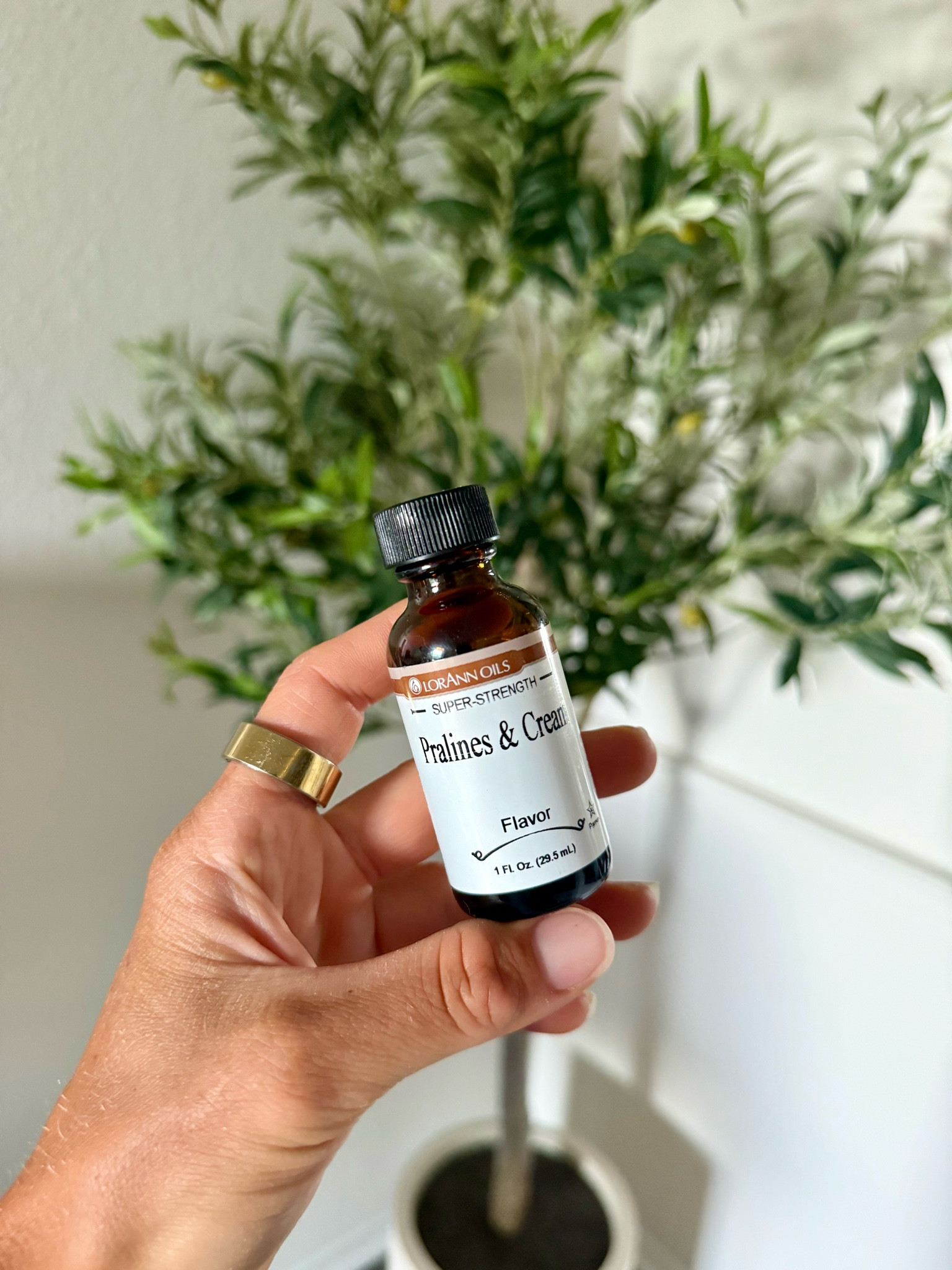 Secret to Low Cal/ No Sugar added- Pralines & Cream Ice Cream. This Extract Flavoring Brand is THE Best. 🫡

#LTKActive