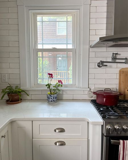 Kitchen things… I love a white kitchen but it definitely needs some pops of color. These blue & white planters are my favorite! I have them all over the house :) 

#LTKhome #LTKFind