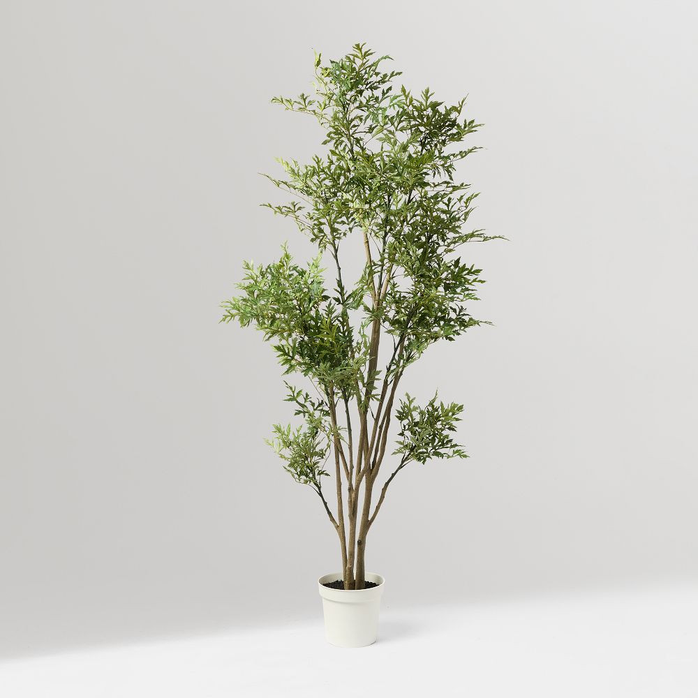 Faux Potted Phoenix Tree | West Elm (US)