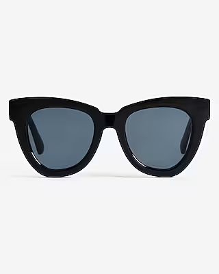 Thick Frame Tinted Sunglasses | Express
