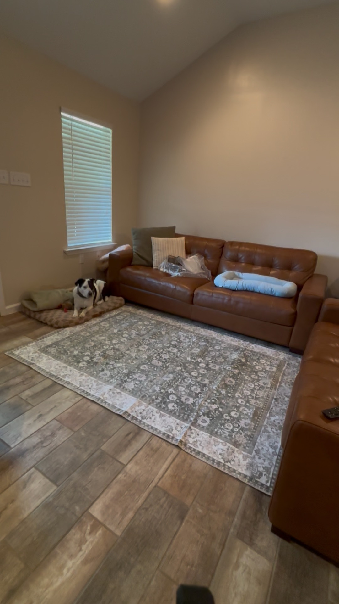 New living room rug! #homedecor #under100 #livingroomrug #livingroomdecor #greenrug

#LTKHome