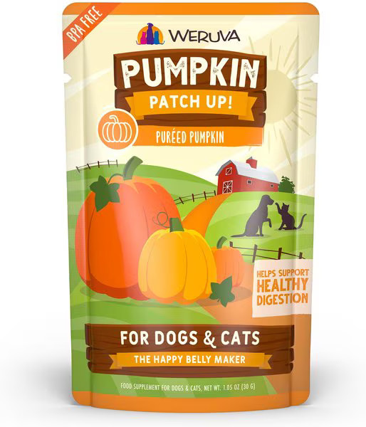 Weruva Pumpkin Patch Up! Dog & Cat Food Supplement Pouches | Chewy.com