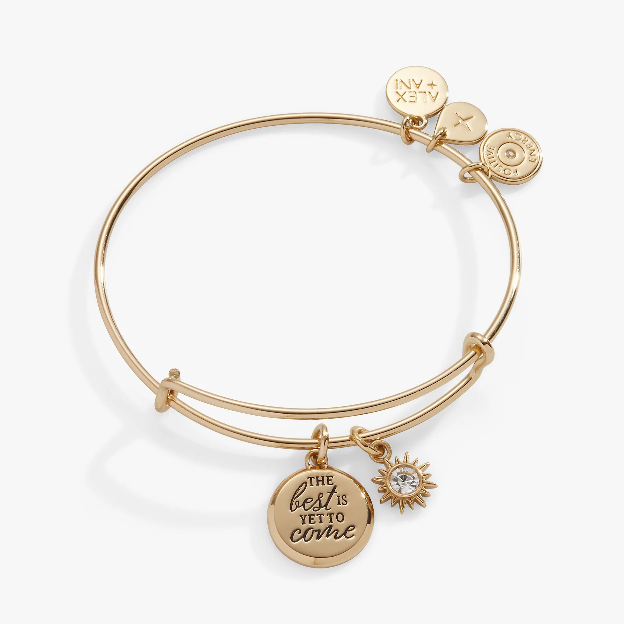 'The Best Is Yet To Come' Duo Charm Bangle | Alex and Ani