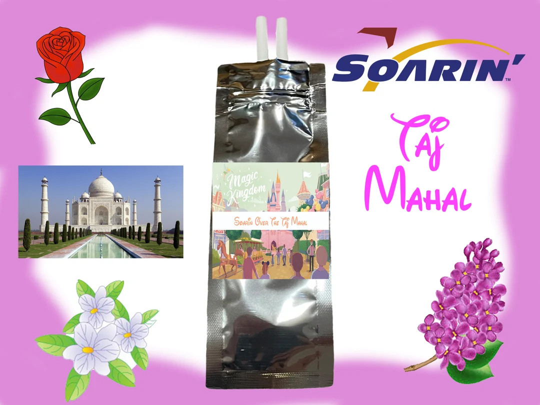 Soarin Over Taj Mahal Fragrance Disney Car Diffuser Refills Epcot Fragrances Essential Oils Disne... | Etsy (US)