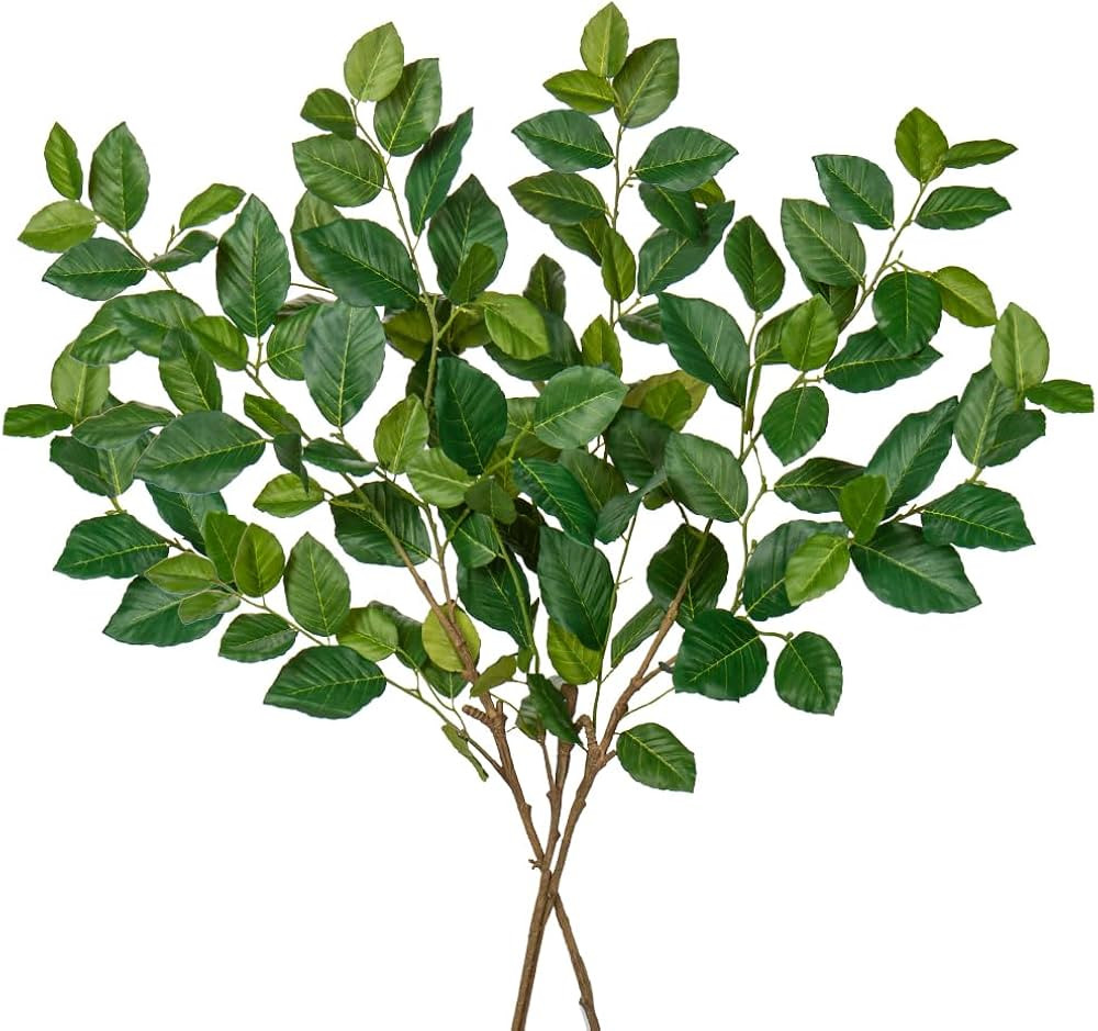 Regular Leaf #077 | Amazon (US)