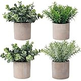 MoonLa Set of 4 Mini Potted Fake Plants Artificial Plant Faux Eucalyptus Boxwood Rosemary Greenery i | Amazon (US)