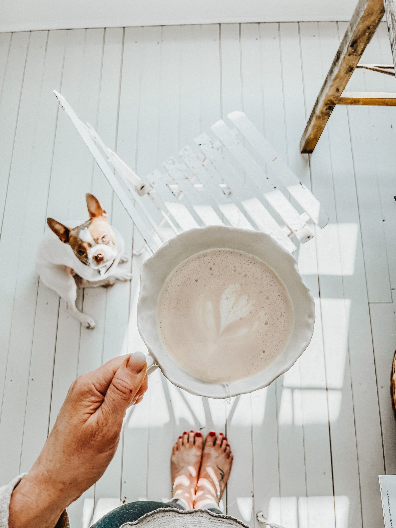 Spring Vibes 🌷☕️

#LTKHome #LTKSeasonal