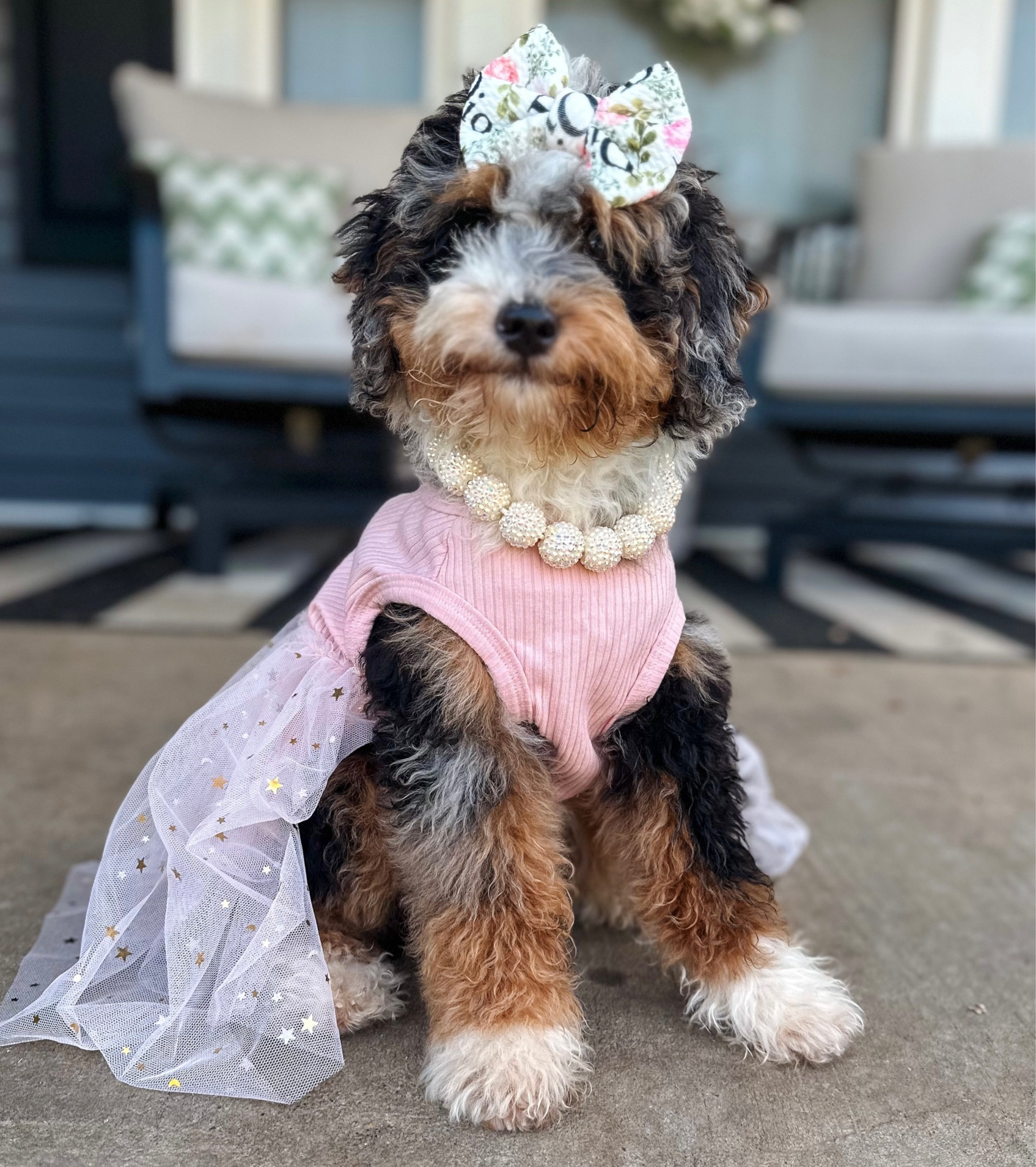 I woke up like this. 

Get my dress from @archieandwinston
Mention our code BARNEYWINNIE15 to save yourself some dollars🤑

Linked similar finds💕

#LTKfamily #LTKfindsunder50 #LTKbaby