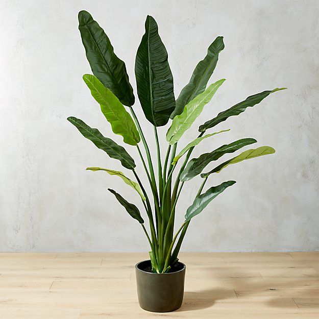 Faux 70" Potted Bird of Paradise + Reviews | CB2 | CB2