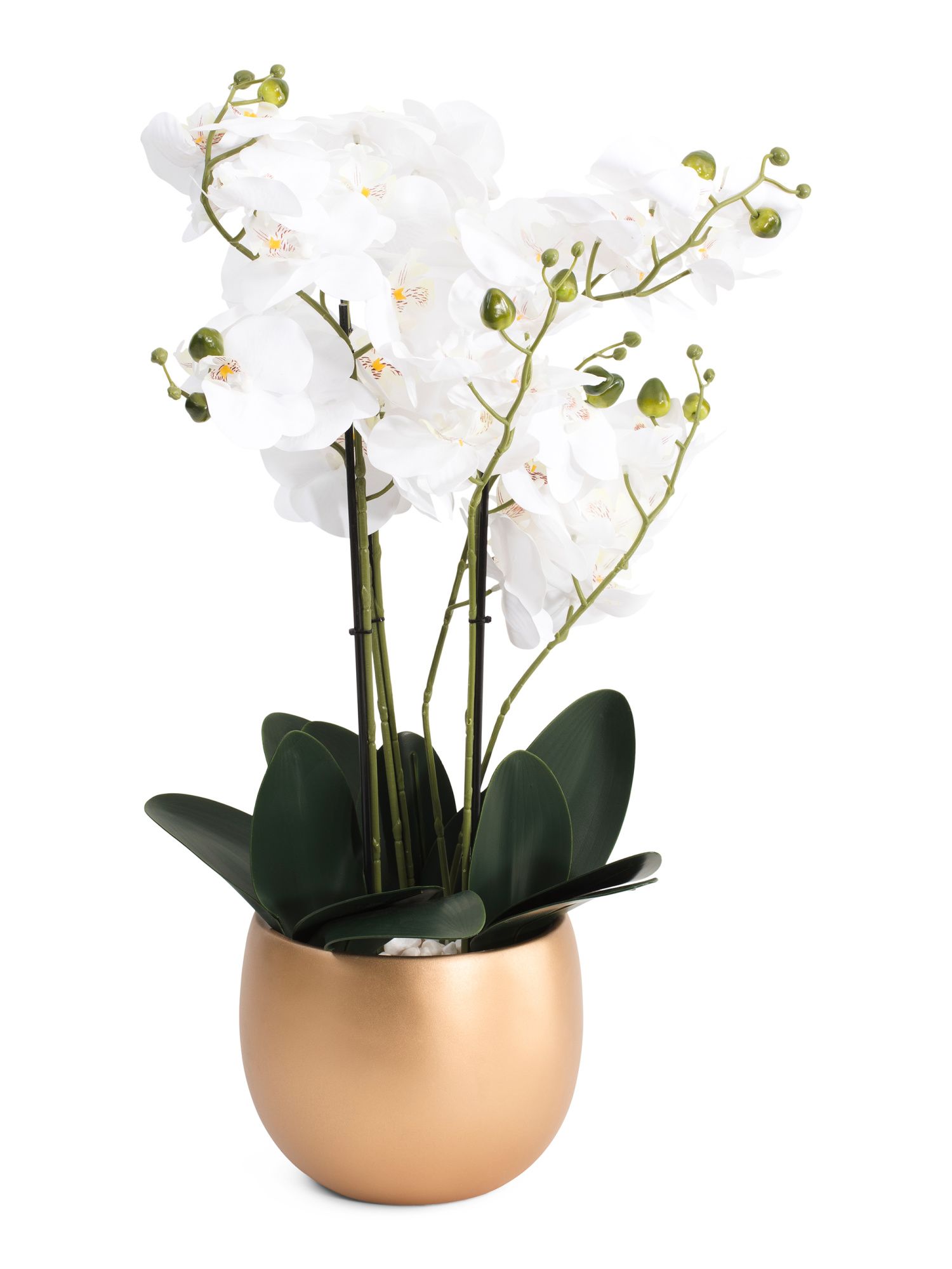26.5in Real Touch Orchid In Cement Pot | Home | Marshalls | Marshalls