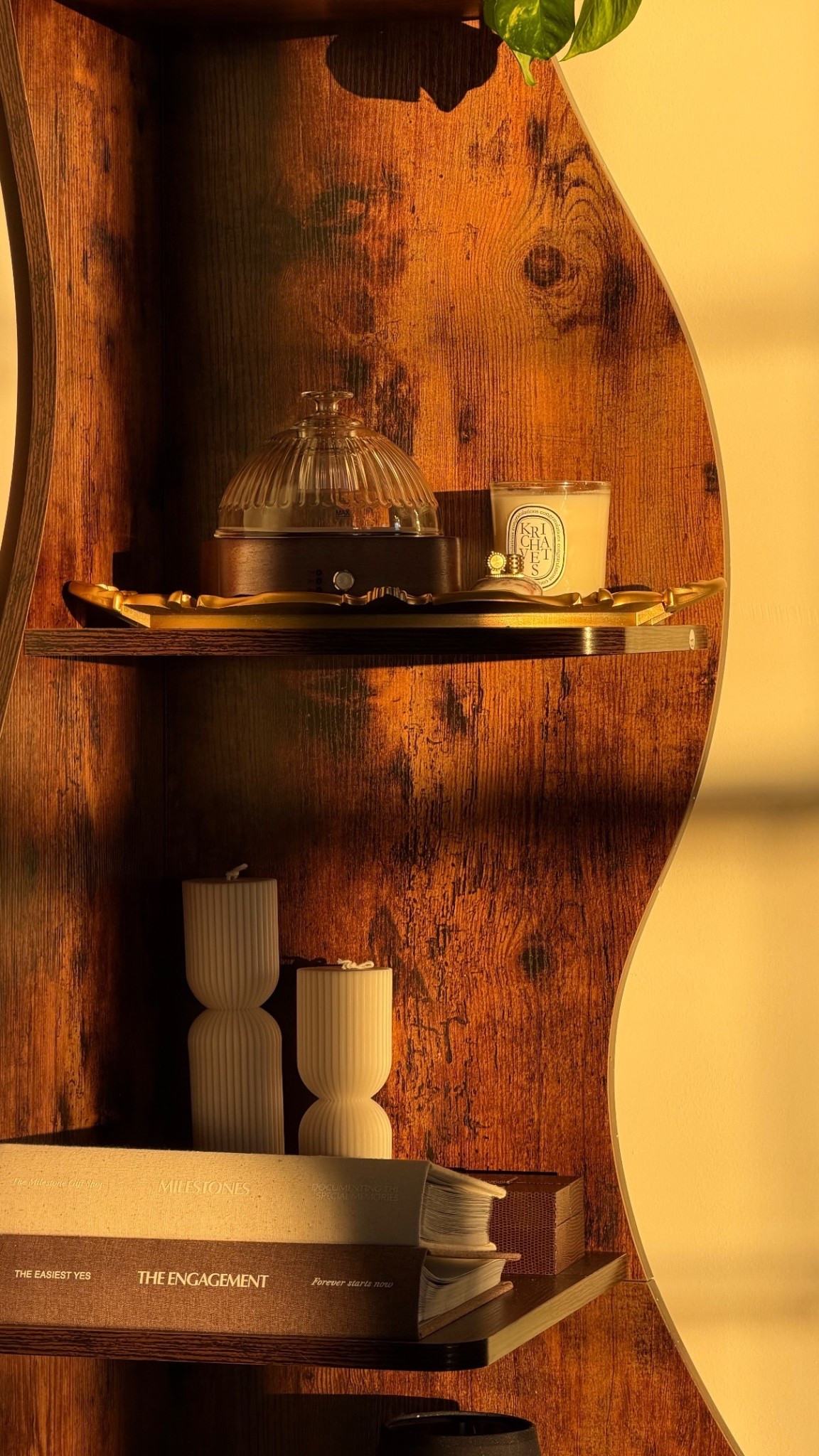 Linking my glass dome oil diffuser! Looks so nice on my shelf and even better when I have it running ✨

#LTKGiftGuide #LTKHoliday #LTKHome