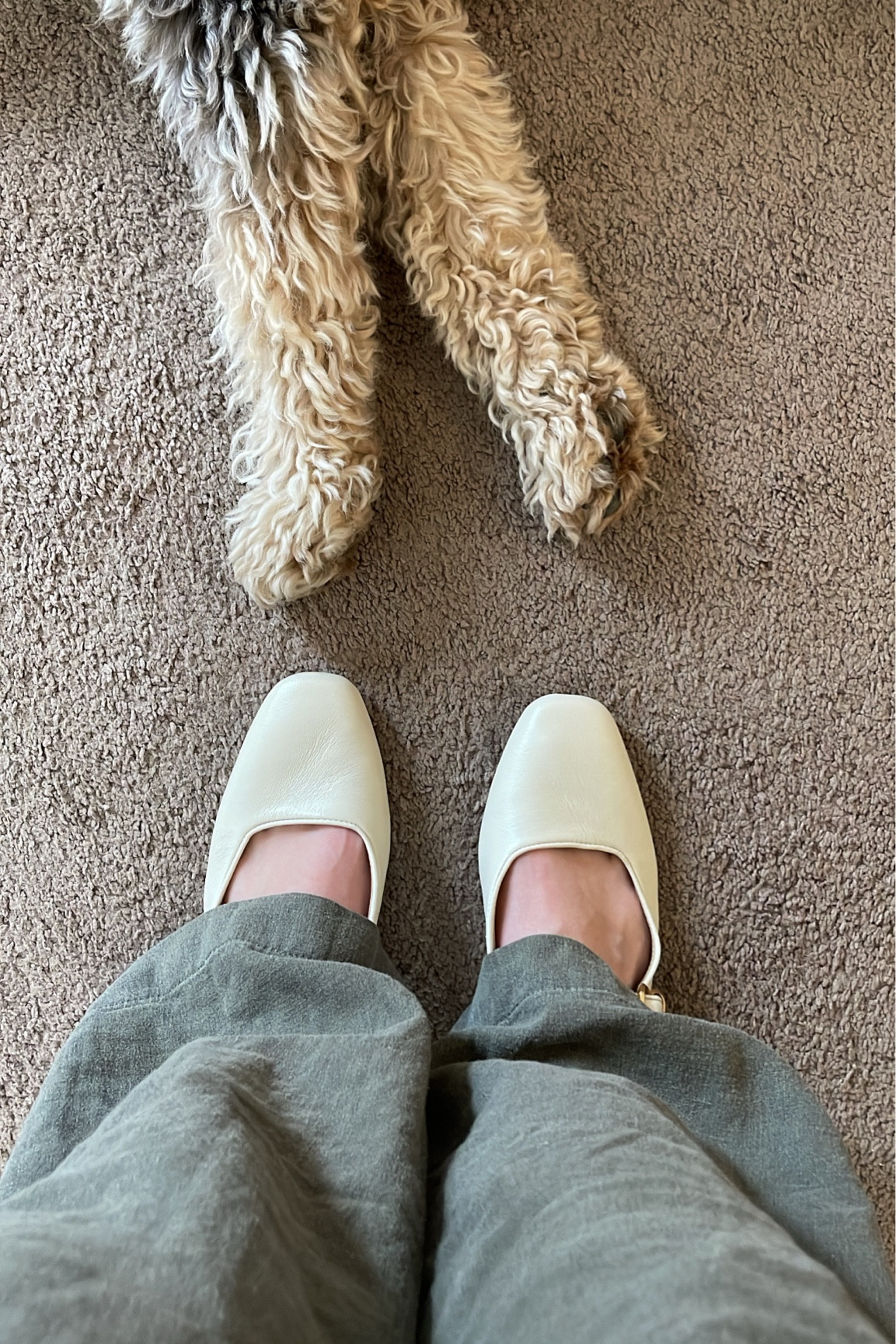 Finally found some Mary Janes that don’t give me toe cleavage 🎉 🎉  

#LTKshoecrush #LTKworkwear