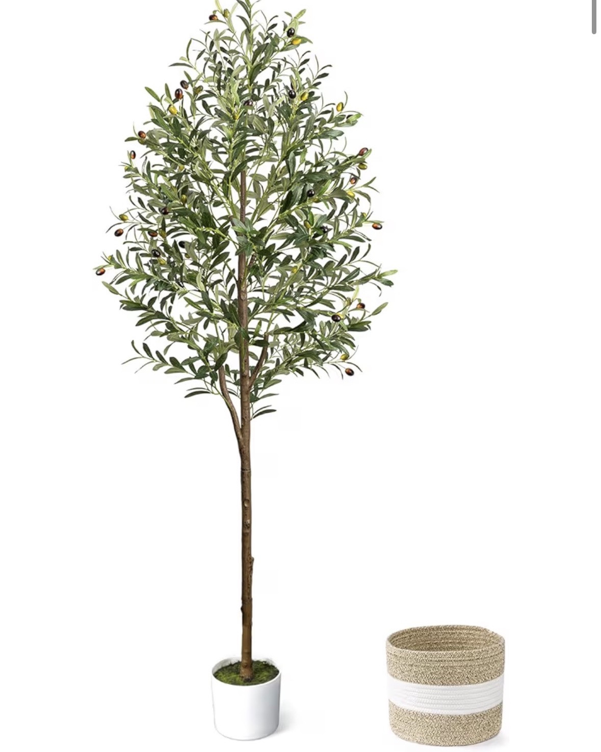 6ft olive tree with basket.

#LTKSaleAlert #LTKHome #LTKdayinmylife
