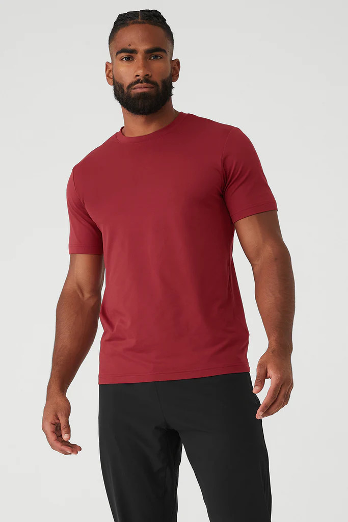 Conquer Reform Crewneck Short Sleeve | Alo Yoga (US)