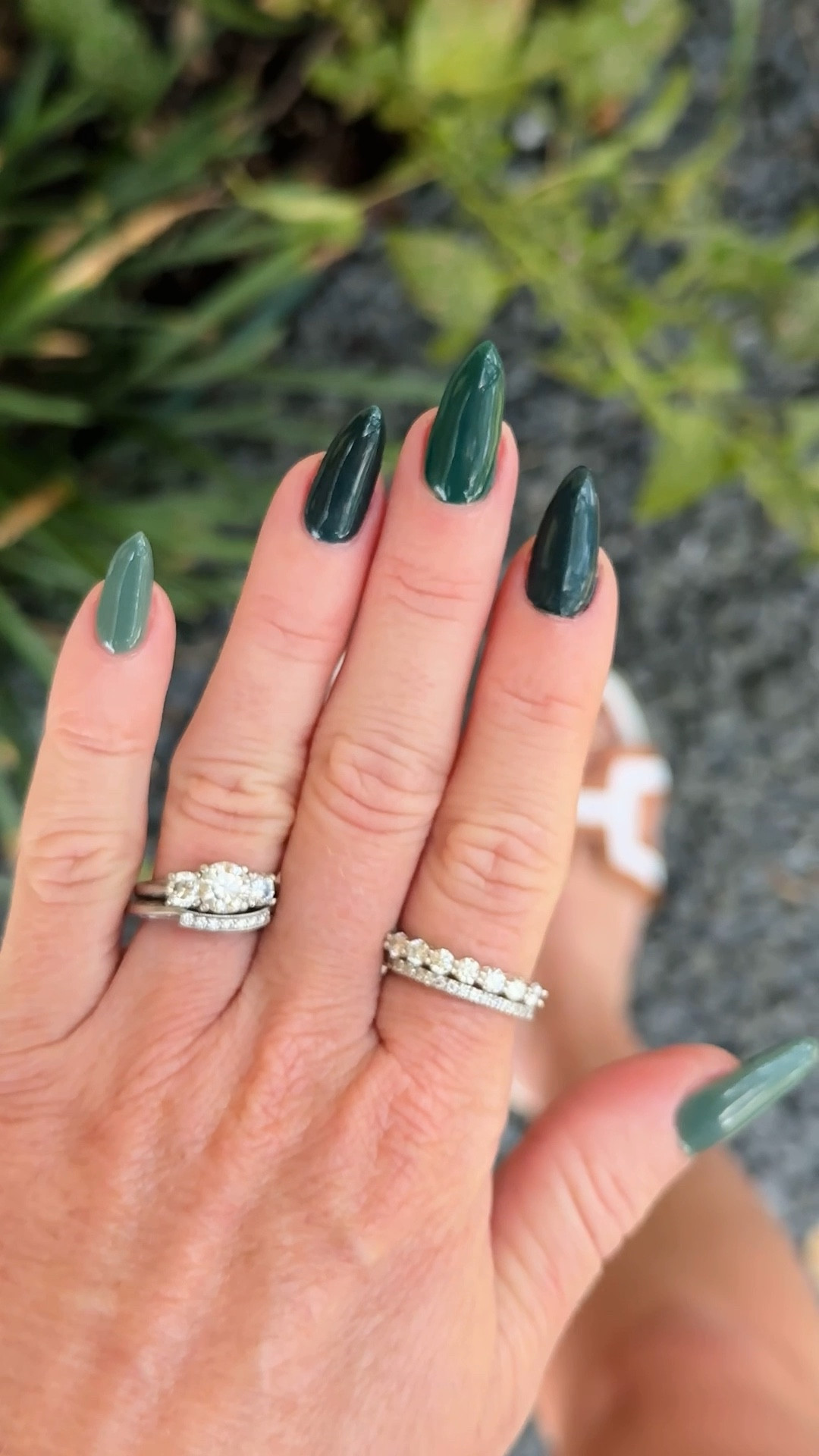 Fall Greens 

#LTKSeasonal #LTKBeauty