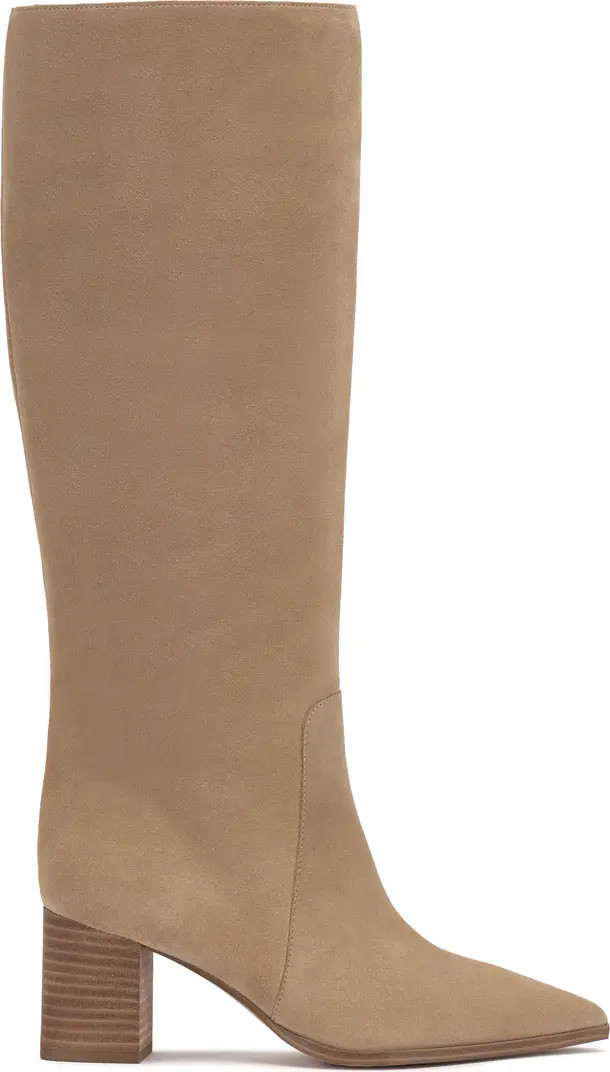 Lumina Pointed Toe Boot (Women) | Nordstrom