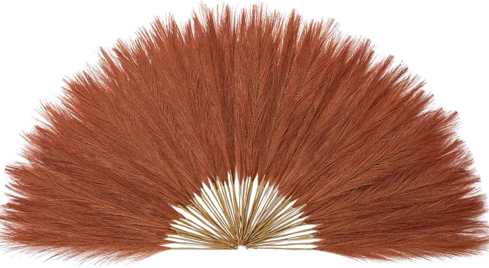 Serwalin 𝟲𝟬𝗽𝗰𝘀 Pampas Grass Decor 𝟭𝟳.𝟳𝗜𝗻𝗰𝗵, Orange Pampas Gra... | Amazon (US)