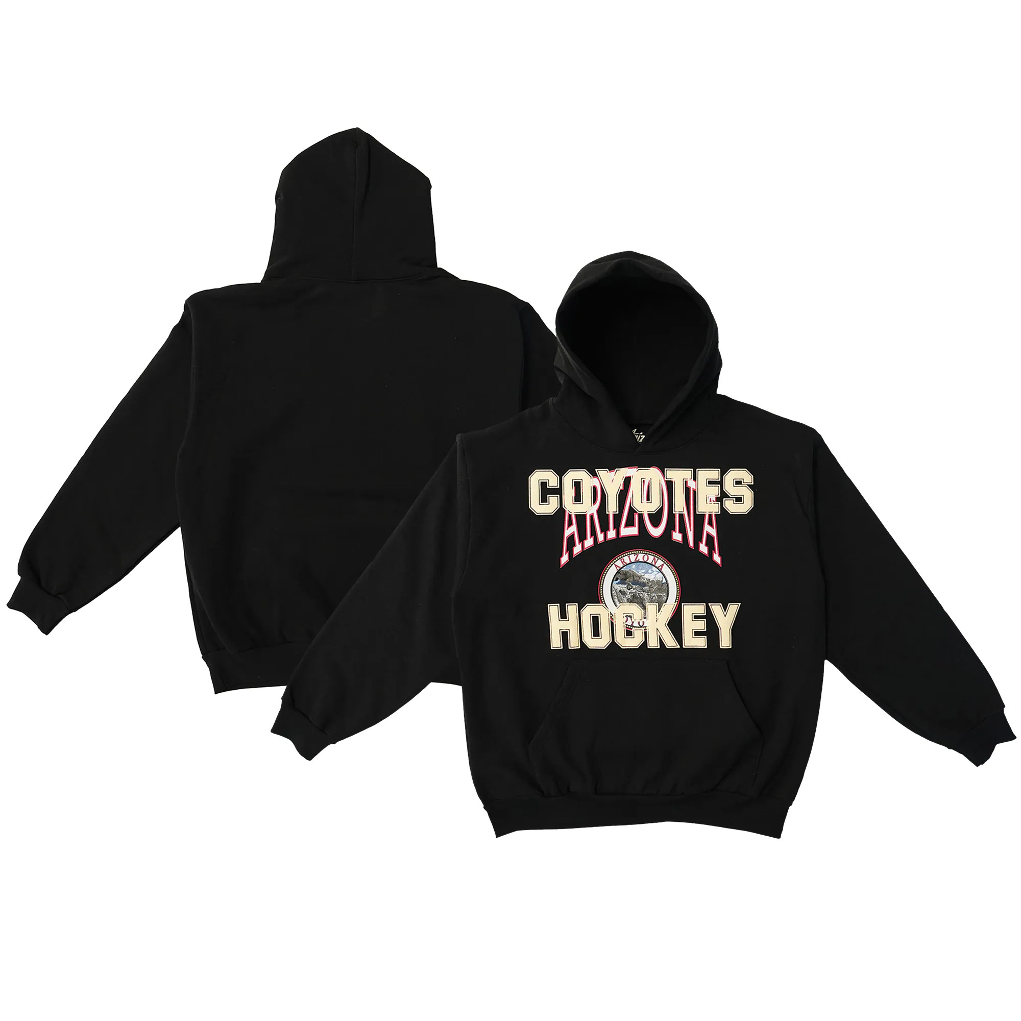 Men's Arizona Coyotes  Black Icey Pullover Hoodie | NHL Shop