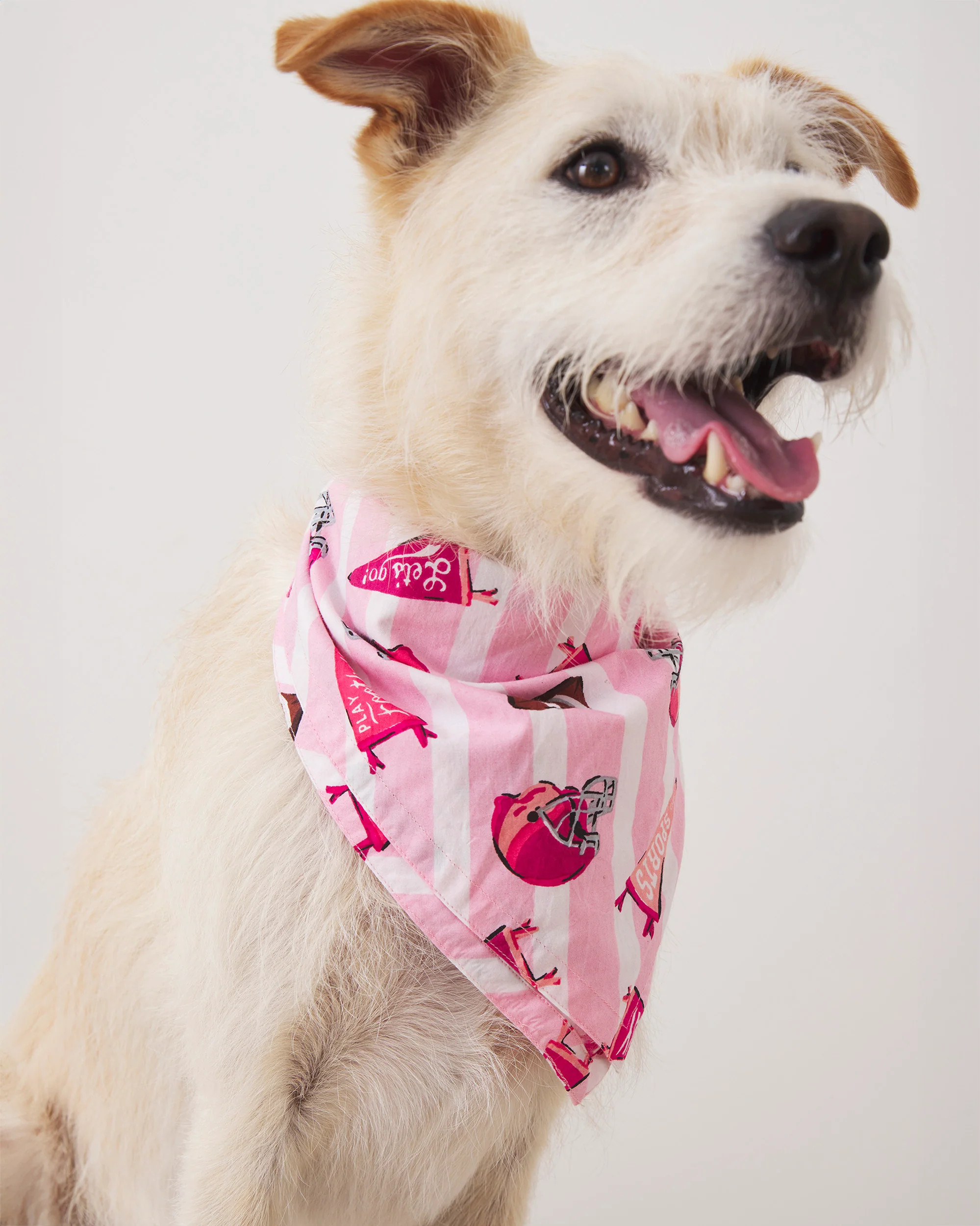 Game Day - Pet Bandana - Powder Puff | Printfresh