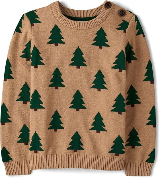 Gymboree Boys' and Toddler Embroidered Pullover Crew Neck Sweatshirt | Amazon (US)