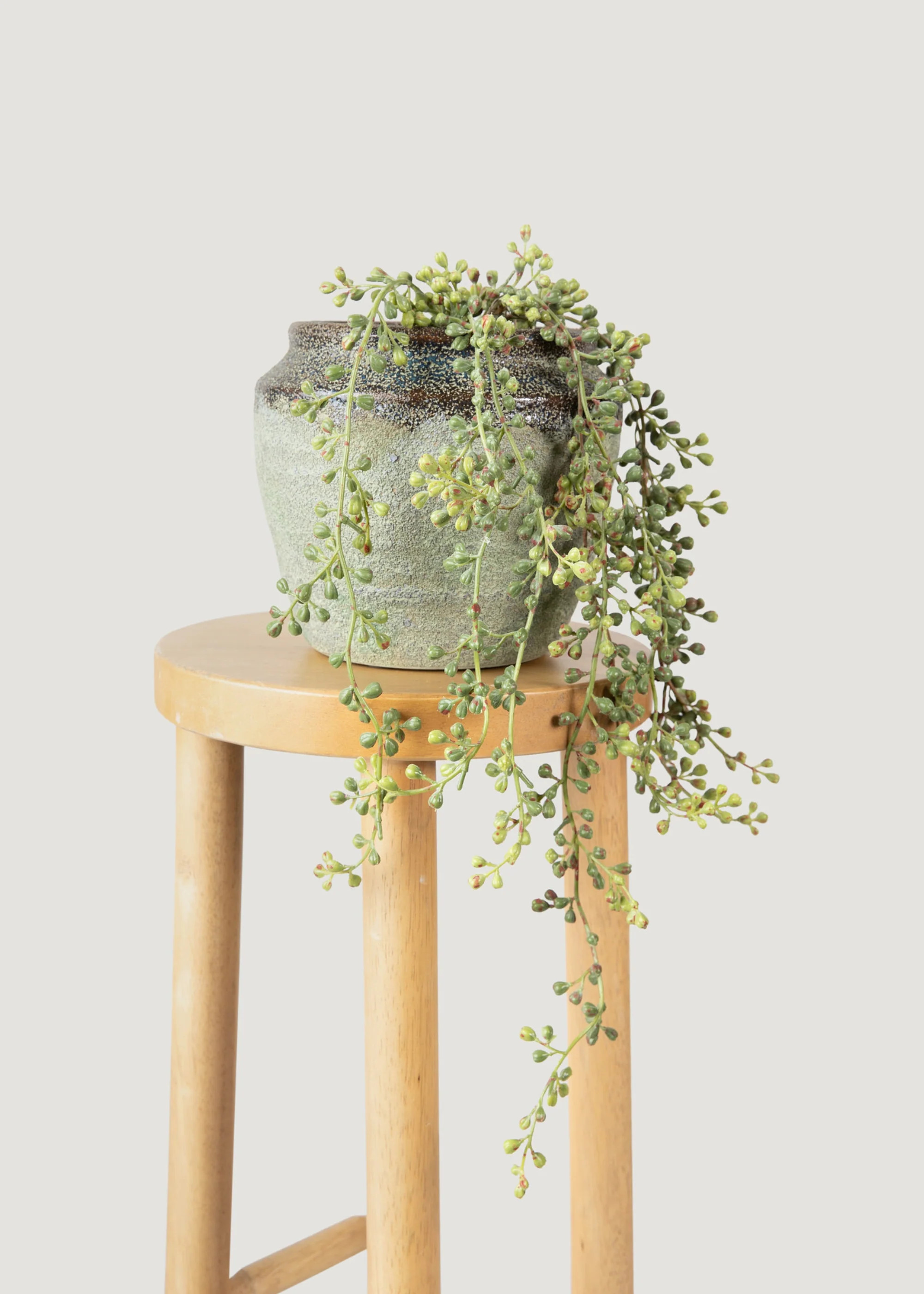 Hanging String of Pearls Bush | Artificial Succulents | Afloral | Afloral