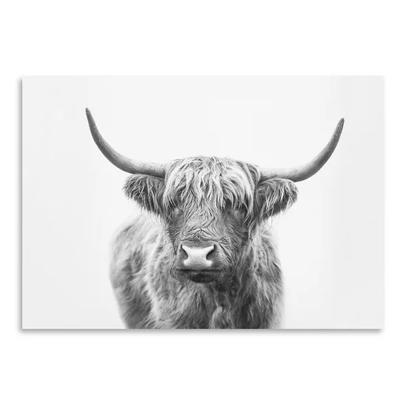 Americanflat Highland Bull by Sisi and Seb Poster Art Print | Target